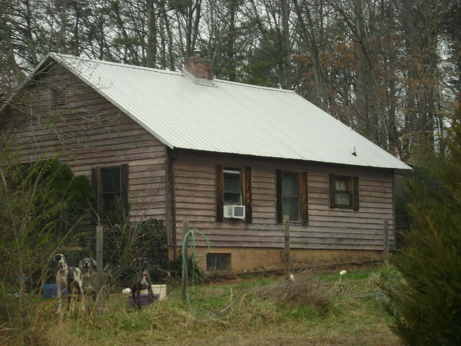 White metal roof on an old wood sided farmhouse, from a Asphalt Shingle Roof Repair job in De Graff
